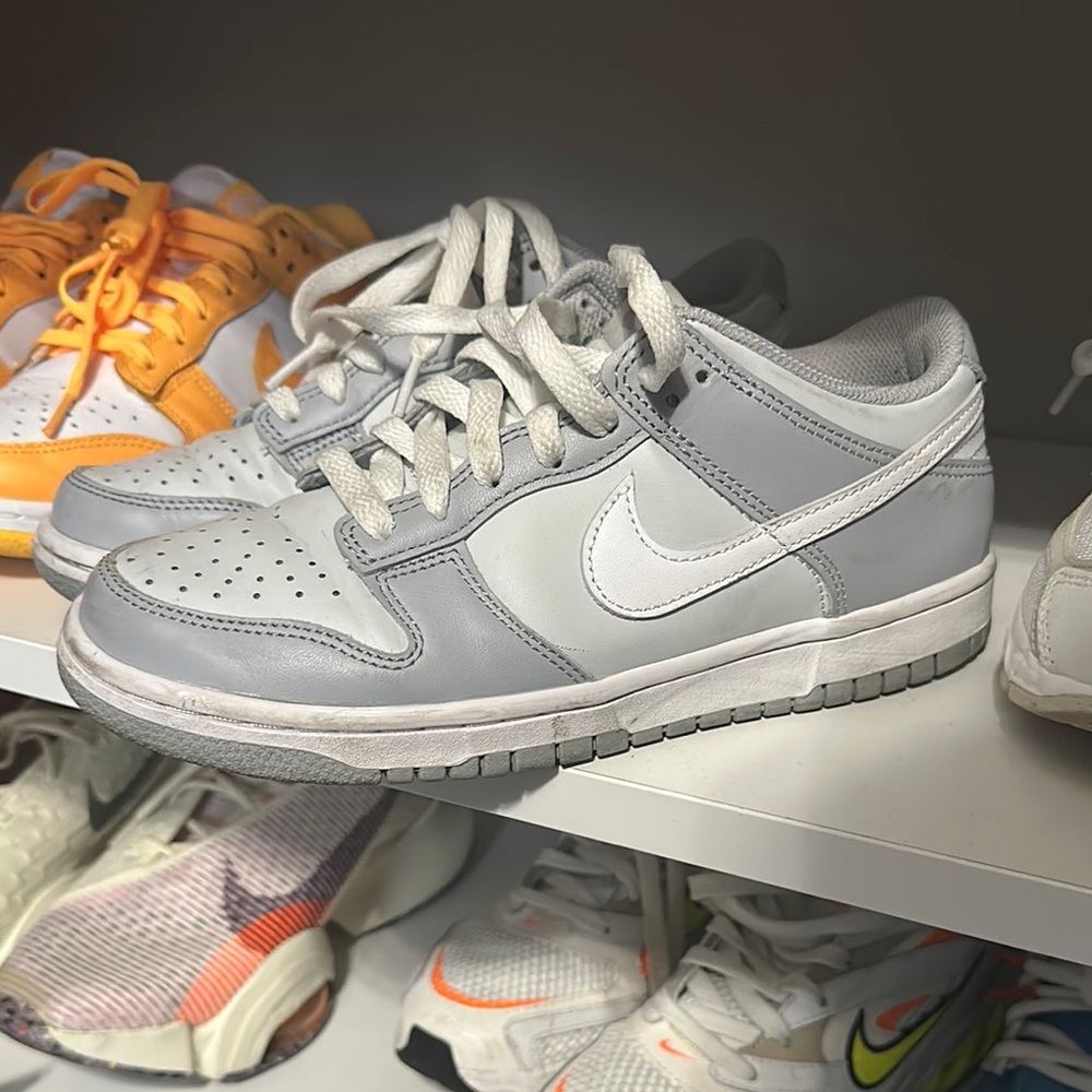 Nike dunks YouthGray Sneakers